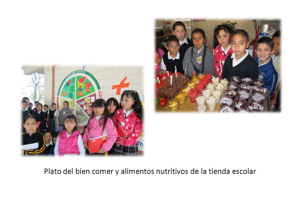 Plato del bien comer y alimentos nutritivos de la tienda escolar