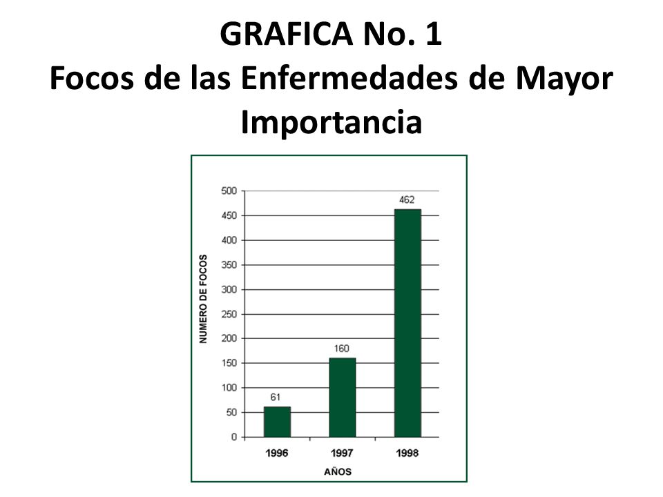 GRAFICA No. 1 Focos de las Enfermedades de Mayor Importancia