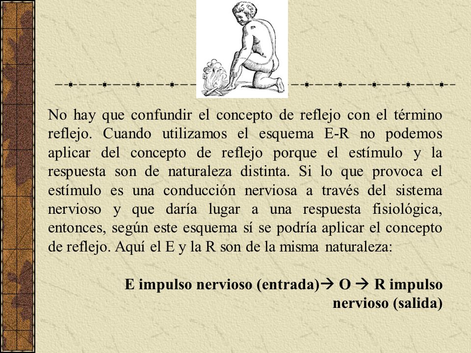 No hay que confundir el concepto de reflejo con el término reflejo