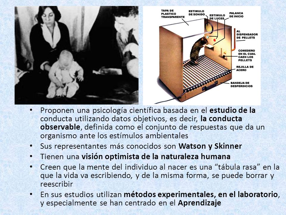 Proponen una psicología científica basada en el estudio de la conducta utilizando datos objetivos, es decir, la conducta observable, definida como el conjunto de respuestas que da un organismo ante los estímulos ambientales