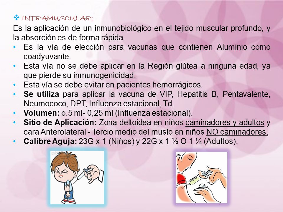 INTRAMUSCULAR: Es la aplicación de un inmunobiológico en el tejido muscular profundo, y la absorción es de forma rápida.