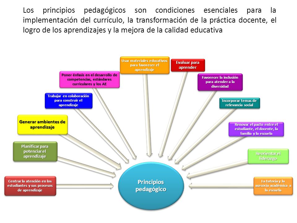 Los principios pedagógicos son condiciones esenciales para la implementación del currículo, la transformación de la práctica docente, el logro de los aprendizajes y la mejora de la calidad educativa
