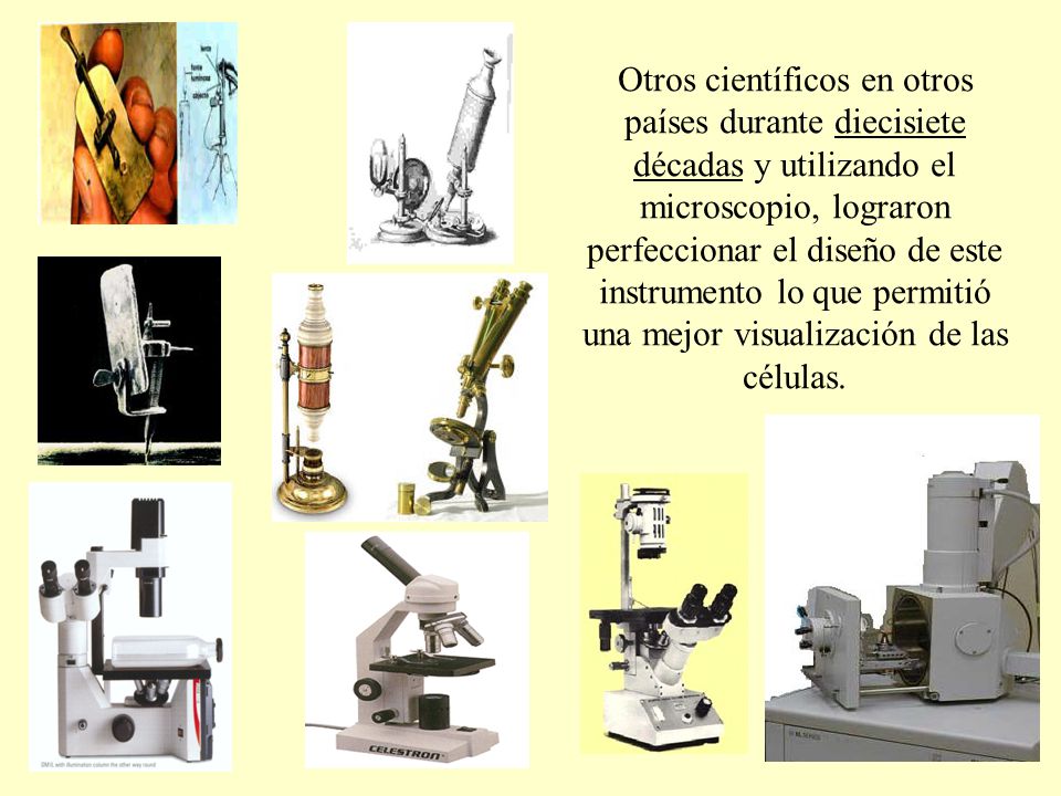 Otros científicos en otros países durante diecisiete décadas y utilizando el microscopio, lograron perfeccionar el diseño de este instrumento lo que permitió una mejor visualización de las células.
