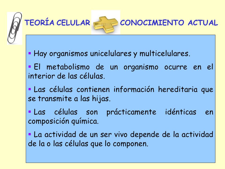 TEORÍA CELULAR CONOCIMIENTO ACTUAL. Hay organismos unicelulares y multicelulares.