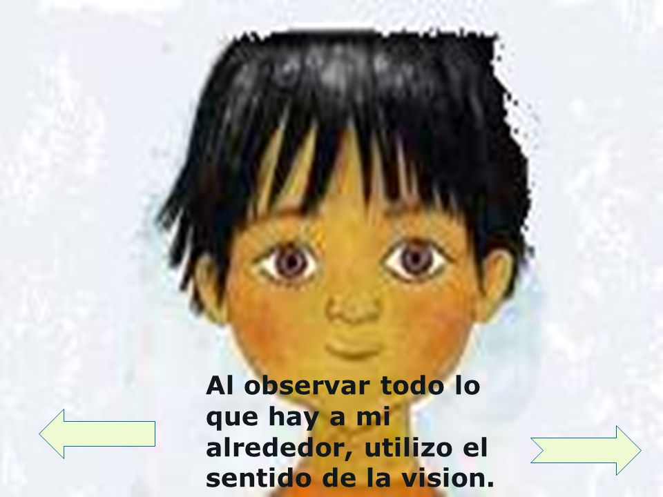Al observar todo lo que hay a mi alrededor, utilizo el sentido de la vision.