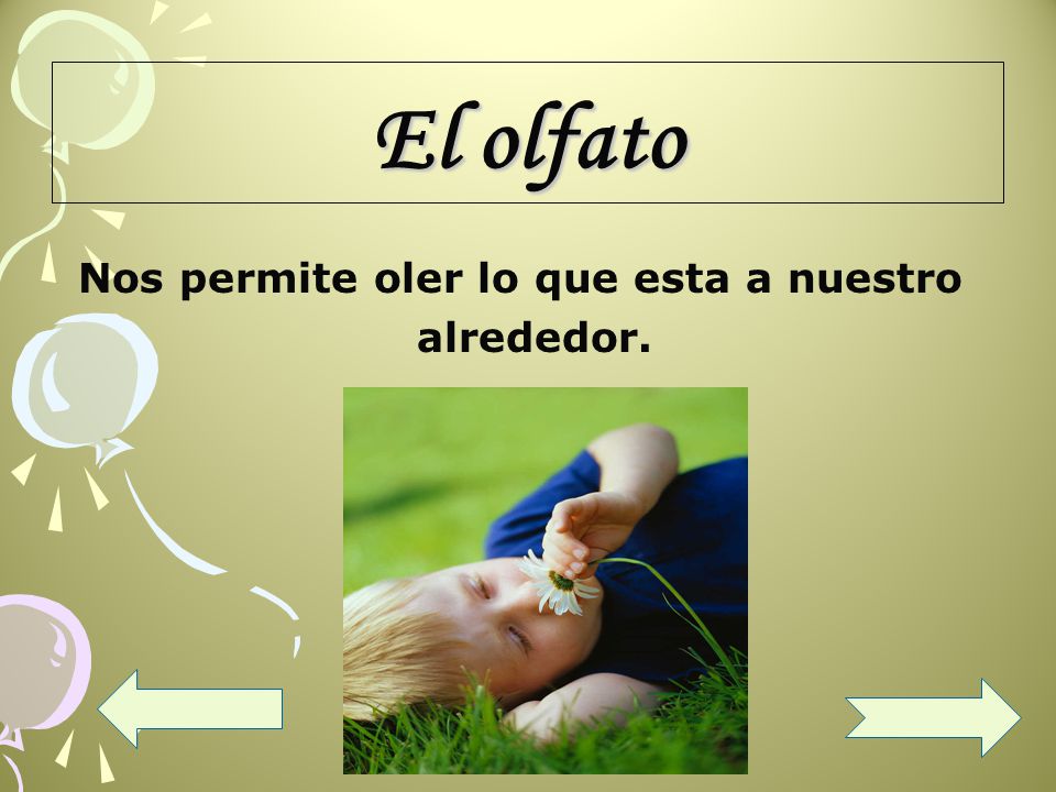 El olfato Nos permite oler lo que esta a nuestro alrededor.