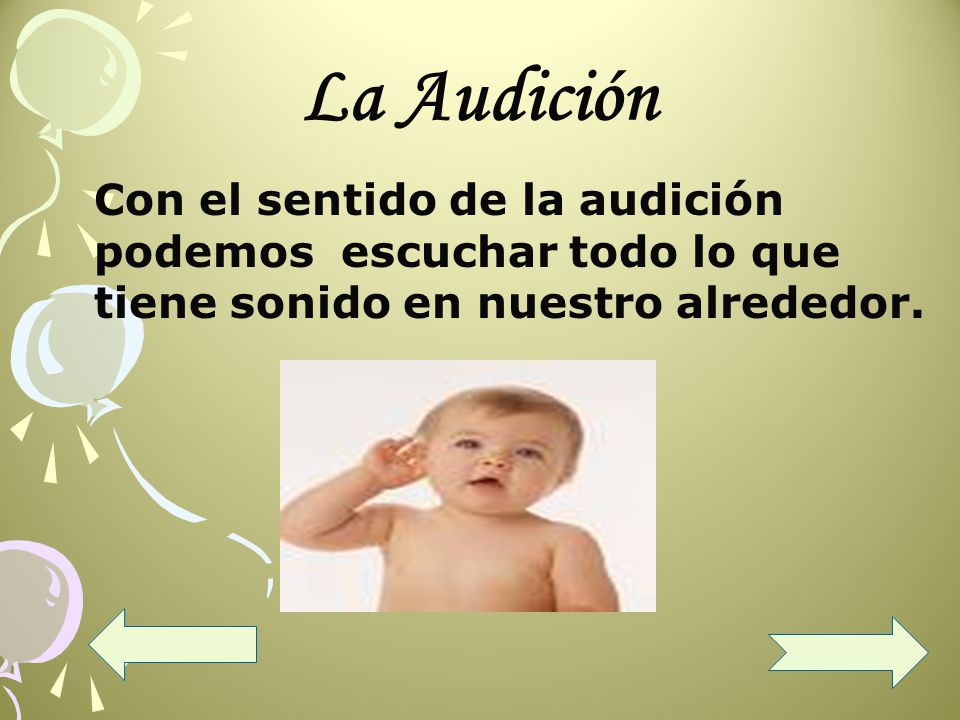 La Audición Con el sentido de la audición podemos escuchar todo lo que tiene sonido en nuestro alrededor.