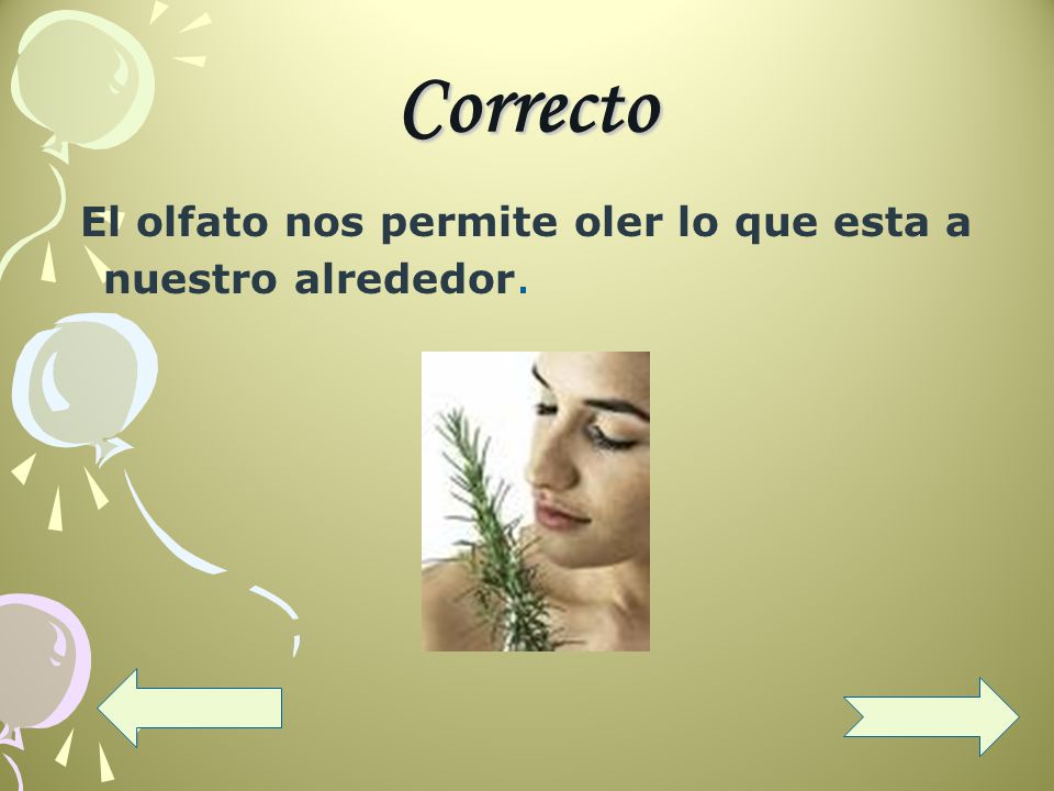 Correcto El olfato nos permite oler lo que esta a nuestro alrededor.
