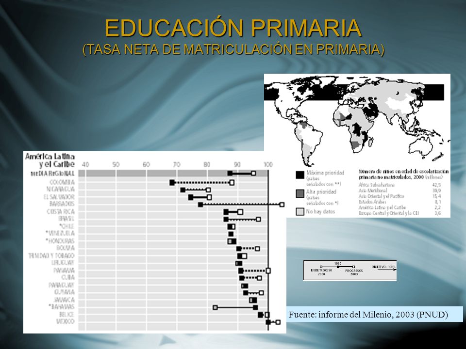 EDUCACIÓN PRIMARIA (TASA NETA DE MATRICULACIÓN EN PRIMARIA)