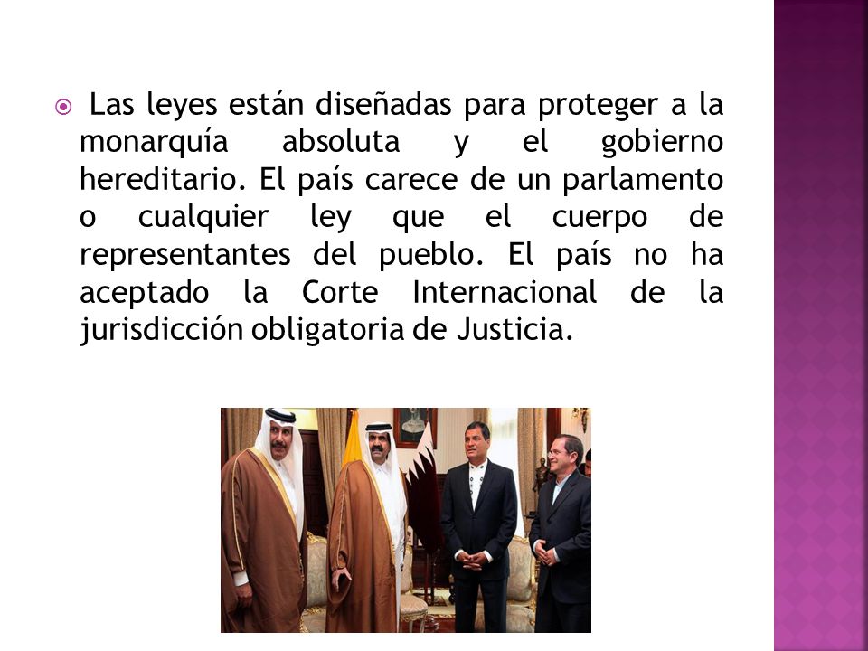 Las leyes están diseñadas para proteger a la monarquía absoluta y el gobierno hereditario.