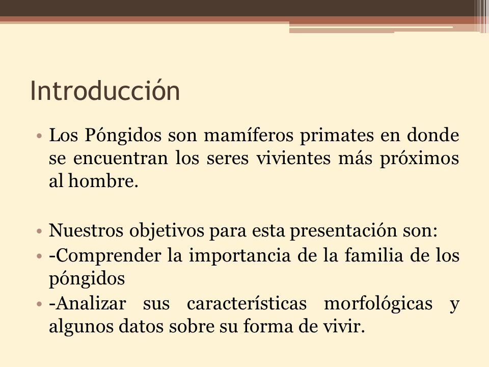 Introducción Los Póngidos son mamíferos primates en donde se encuentran los seres vivientes más próximos al hombre.
