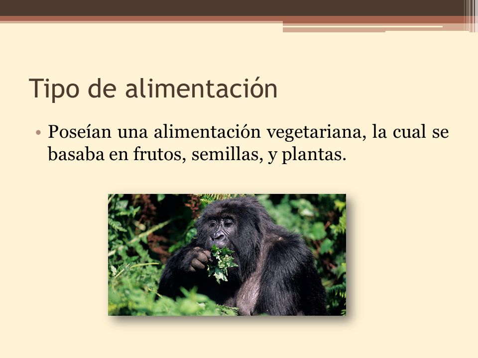 Tipo de alimentación Poseían una alimentación vegetariana, la cual se basaba en frutos, semillas, y plantas.