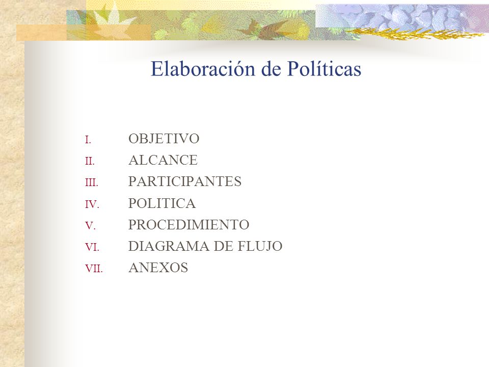Elaboración de Políticas