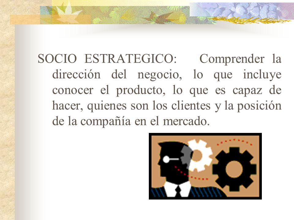 SOCIO ESTRATEGICO: Comprender la dirección del negocio, lo que incluye conocer el producto, lo que es capaz de hacer, quienes son los clientes y la posición de la compañía en el mercado.