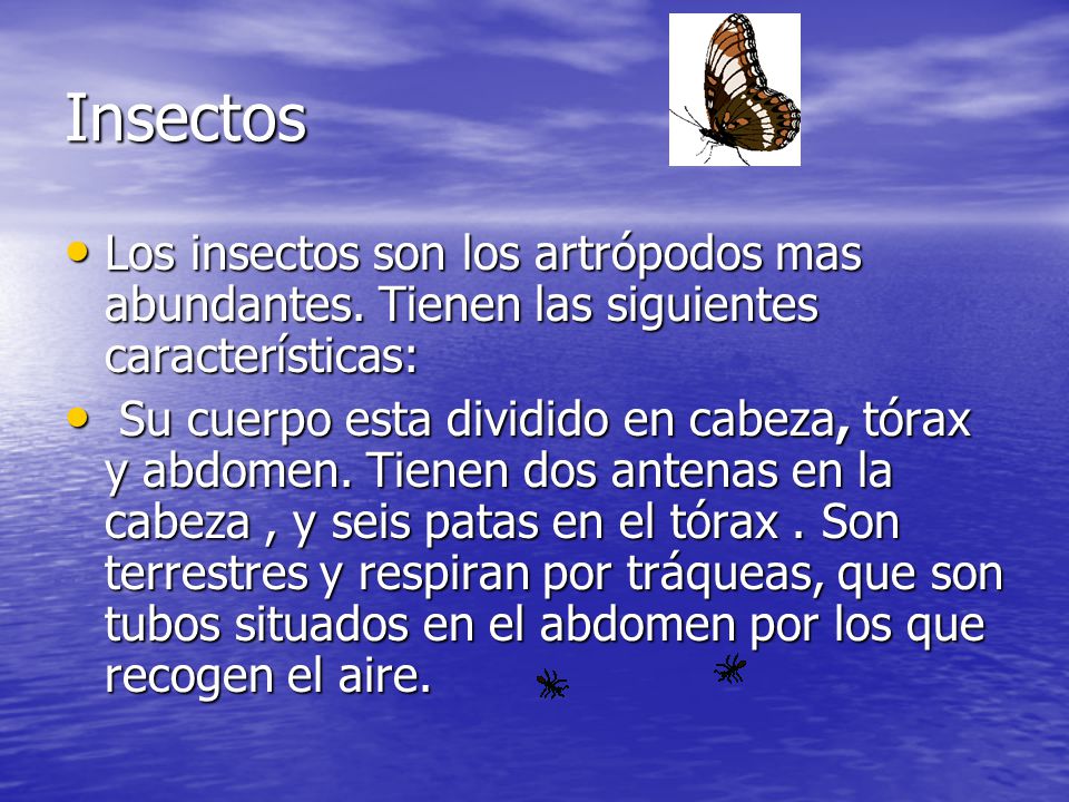 Insectos Los insectos son los artrópodos mas abundantes. Tienen las siguientes características: