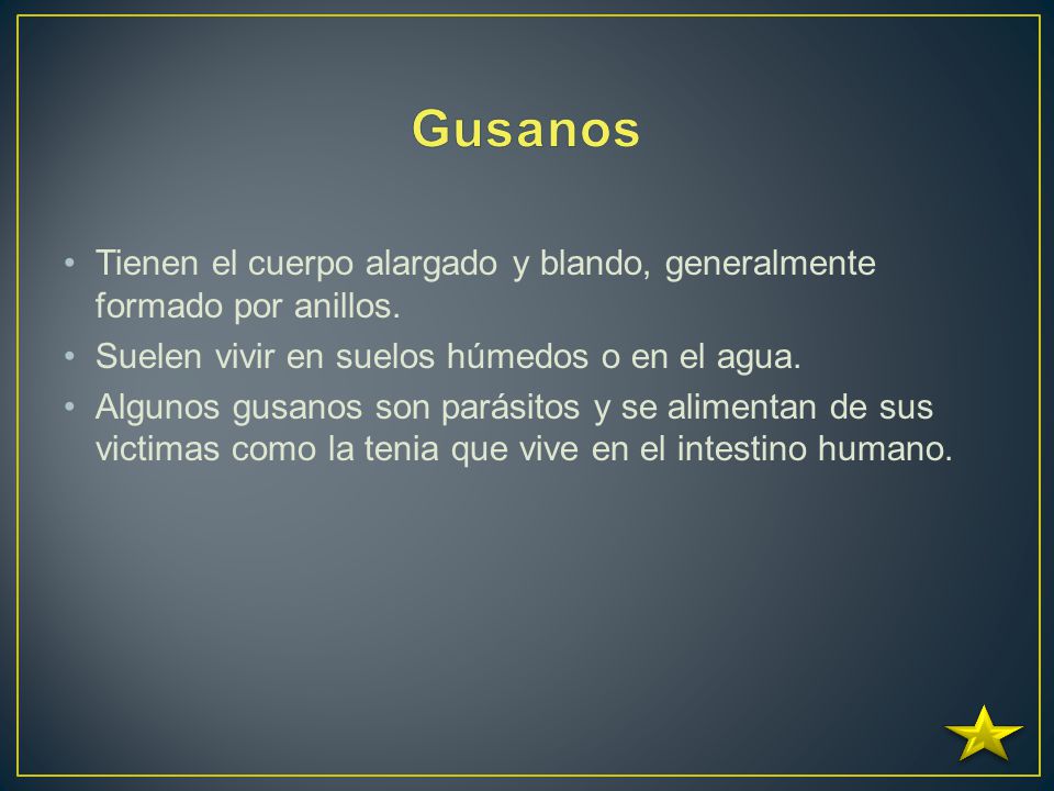 Gusanos Tienen el cuerpo alargado y blando, generalmente formado por anillos. Suelen vivir en suelos húmedos o en el agua.