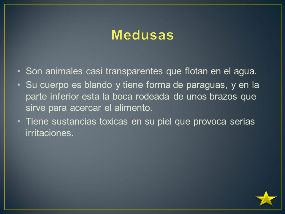 Medusas Son animales casi transparentes que flotan en el agua.