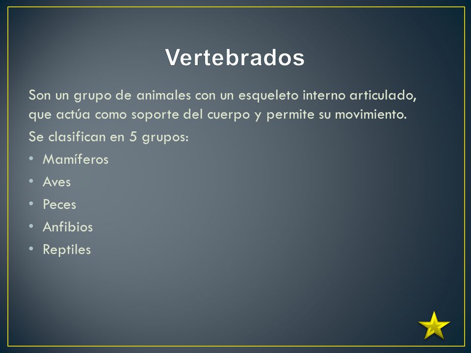 Vertebrados Son un grupo de animales con un esqueleto interno articulado, que actúa como soporte del cuerpo y permite su movimiento.