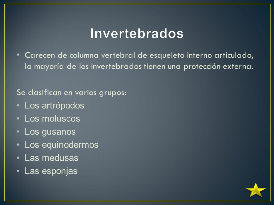 Invertebrados Carecen de columna vertebral de esqueleto interno articulado, la mayoría de los invertebrados tienen una protección externa.