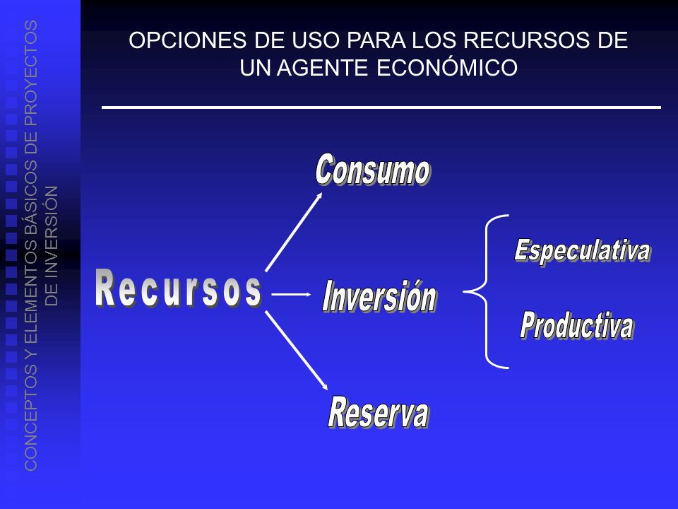 Recursos OPCIONES DE USO PARA LOS RECURSOS DE UN AGENTE ECONÓMICO