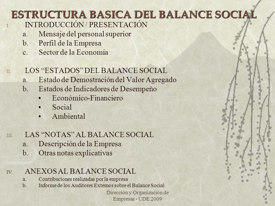 ESTRUCTURA BASICA DEL BALANCE SOCIAL