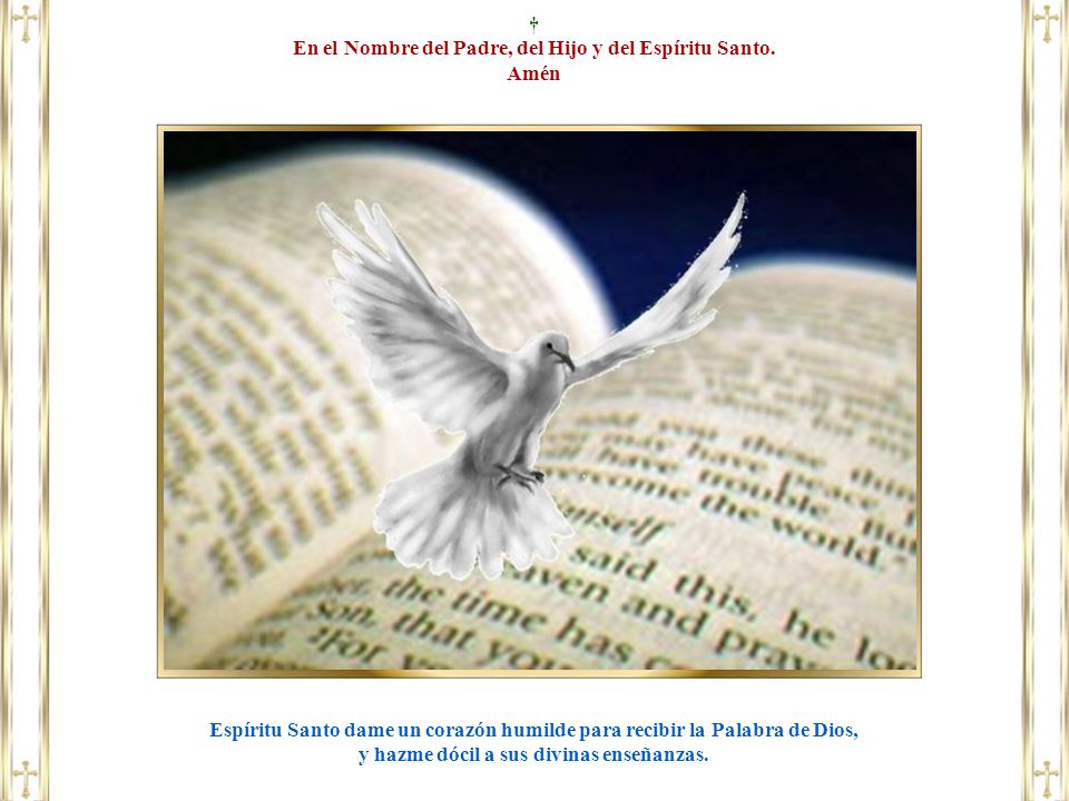 En el Nombre del Padre, del Hijo y del Espíritu Santo. Amén