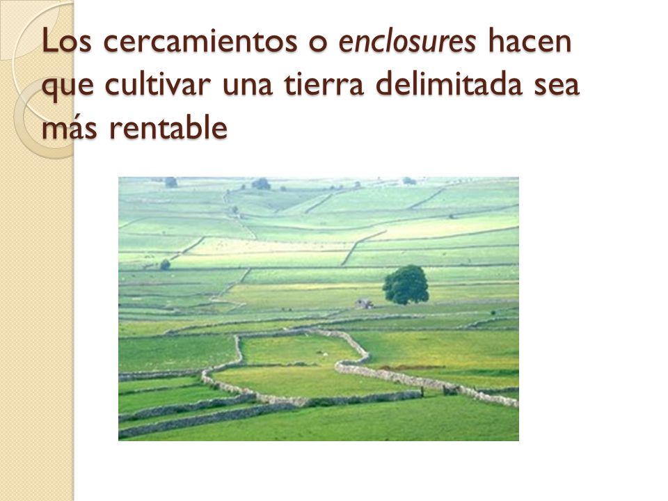 Los cercamientos o enclosures hacen que cultivar una tierra delimitada sea más rentable