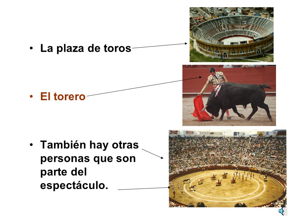 La plaza de toros El torero También hay otras personas que son parte del espectáculo.