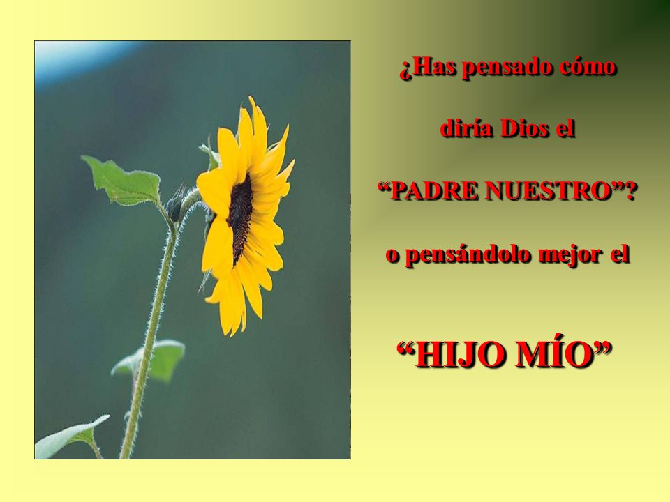 HIJO MÍO ¿Has pensado cómo diría Dios el PADRE NUESTRO