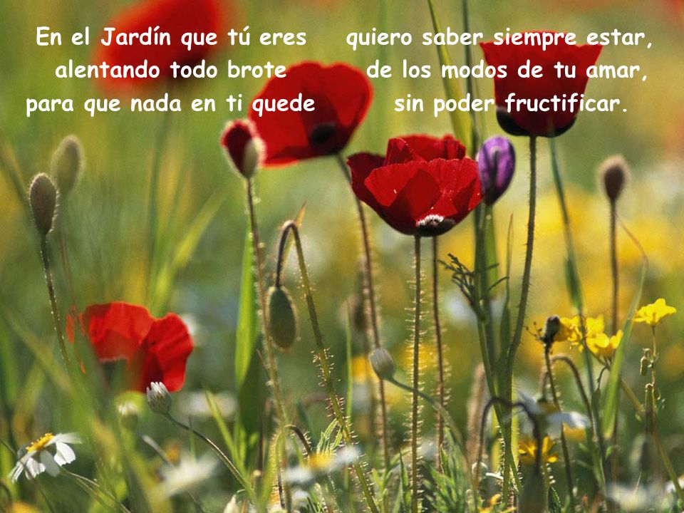 En el Jardín que tú eres quiero saber siempre estar,