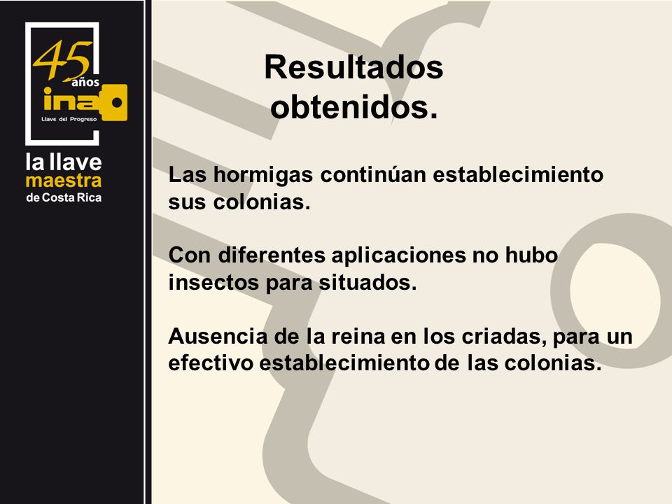 Resultados obtenidos. Las hormigas continúan establecimiento sus colonias. Con diferentes aplicaciones no hubo insectos para situados.