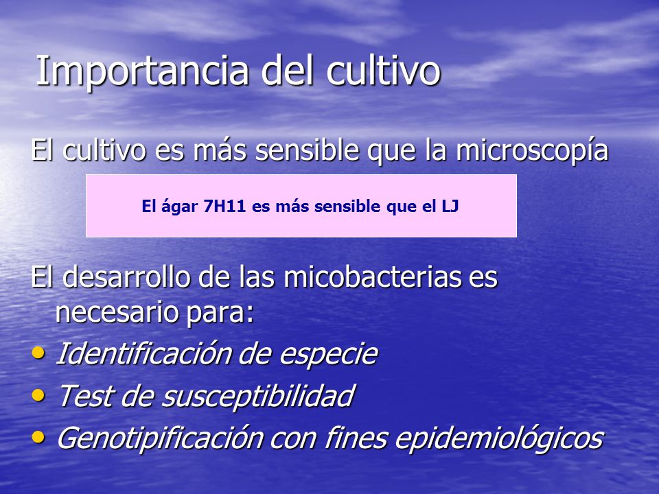 Importancia del cultivo