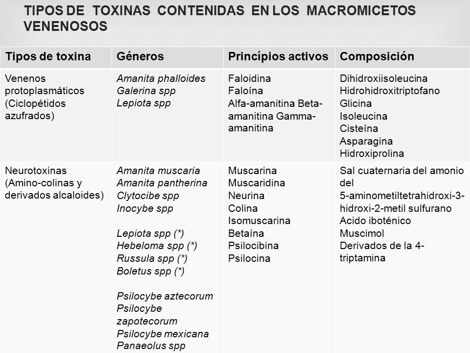 TIPOS DE TOXINAS CONTENIDAS EN LOS MACROMICETOS VENENOSOS
