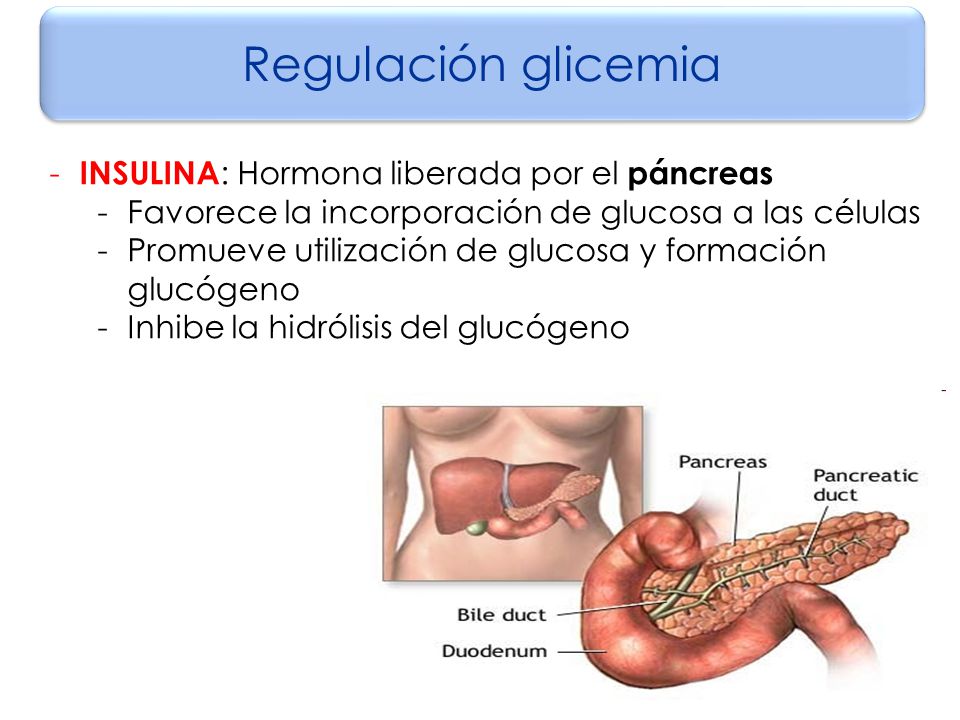 Regulación glicemia INSULINA: Hormona liberada por el páncreas