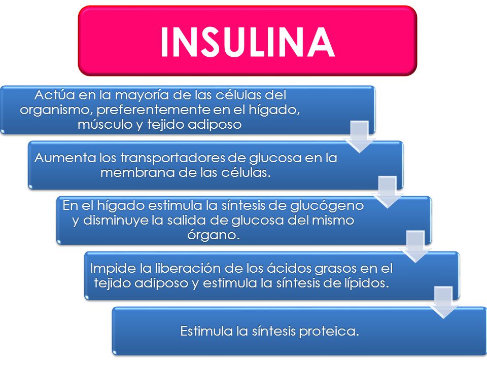 INSULINA INSULINA. Actúa en la mayoría de las células del organismo, preferentemente en el hígado, músculo y tejido adiposo.