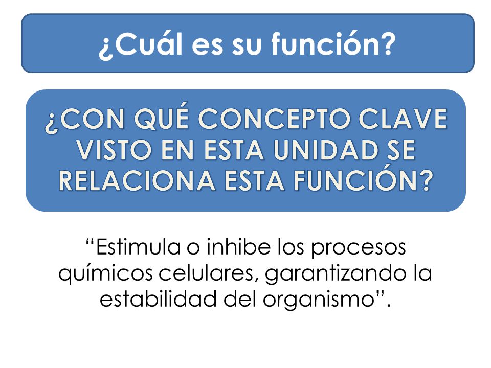 ¿Cuál es su función ¿CON QUÉ CONCEPTO CLAVE VISTO EN ESTA UNIDAD SE RELACIONA ESTA FUNCIÓN