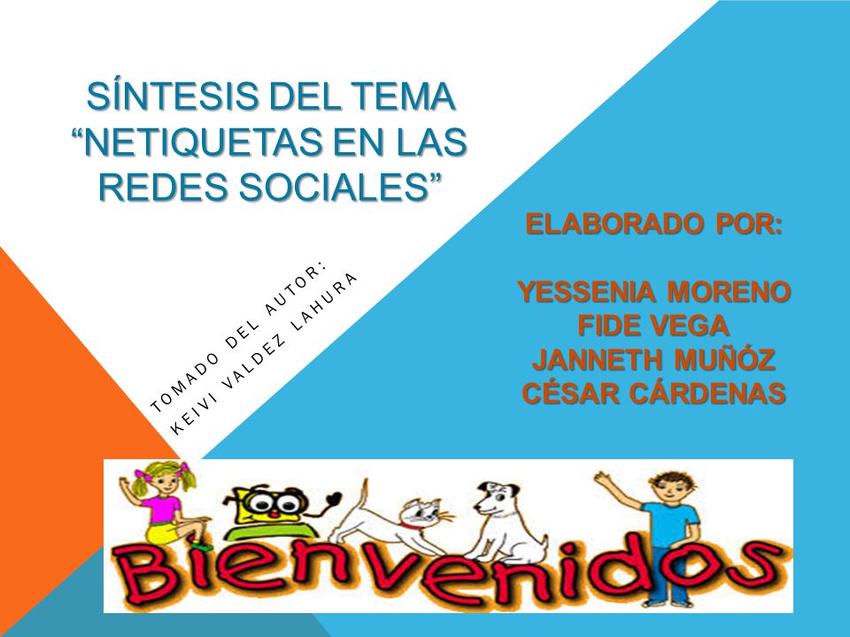 SÍNTESIS DEL TEMA NETIQUETAS EN LAS REDES SOCIALES