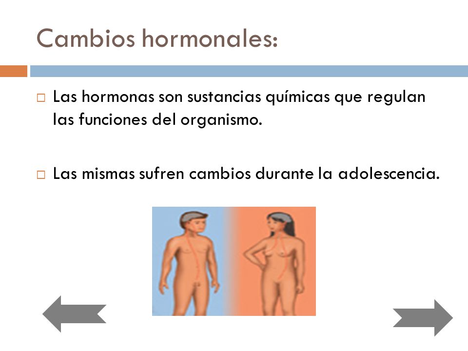 Cambios hormonales: Las hormonas son sustancias químicas que regulan las funciones del organismo.