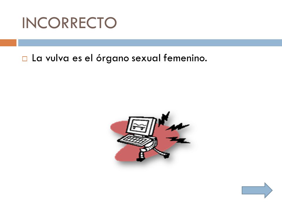 INCORRECTO La vulva es el órgano sexual femenino.
