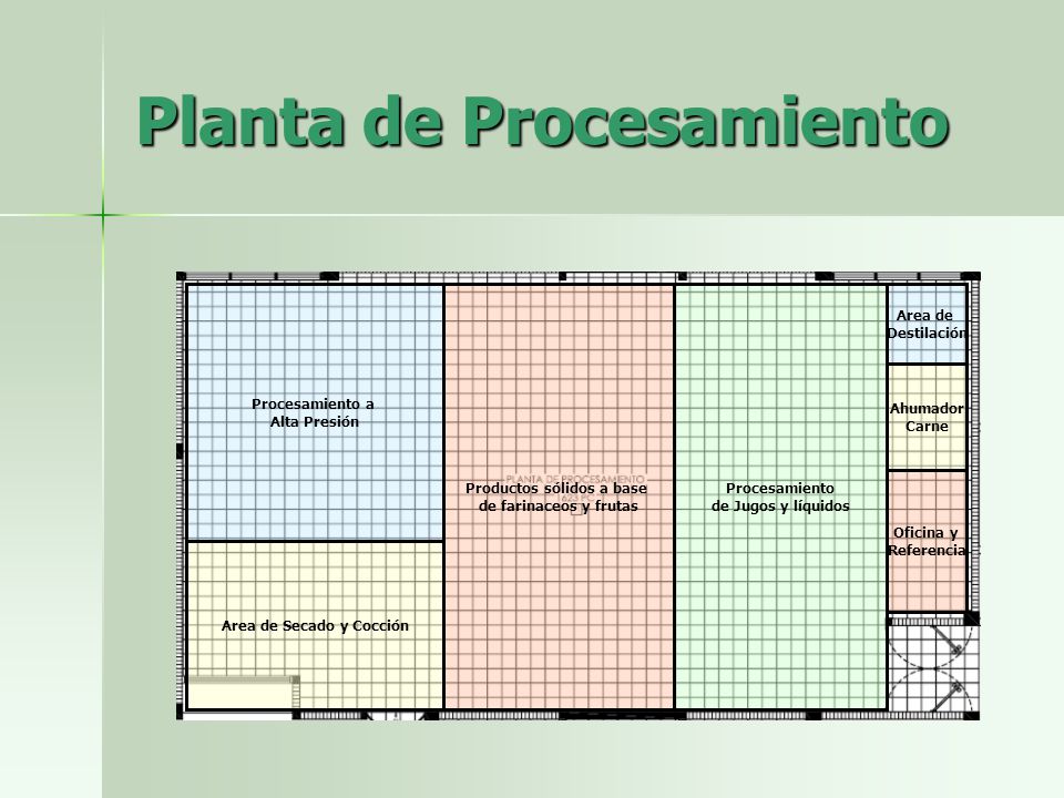 Planta de Procesamiento