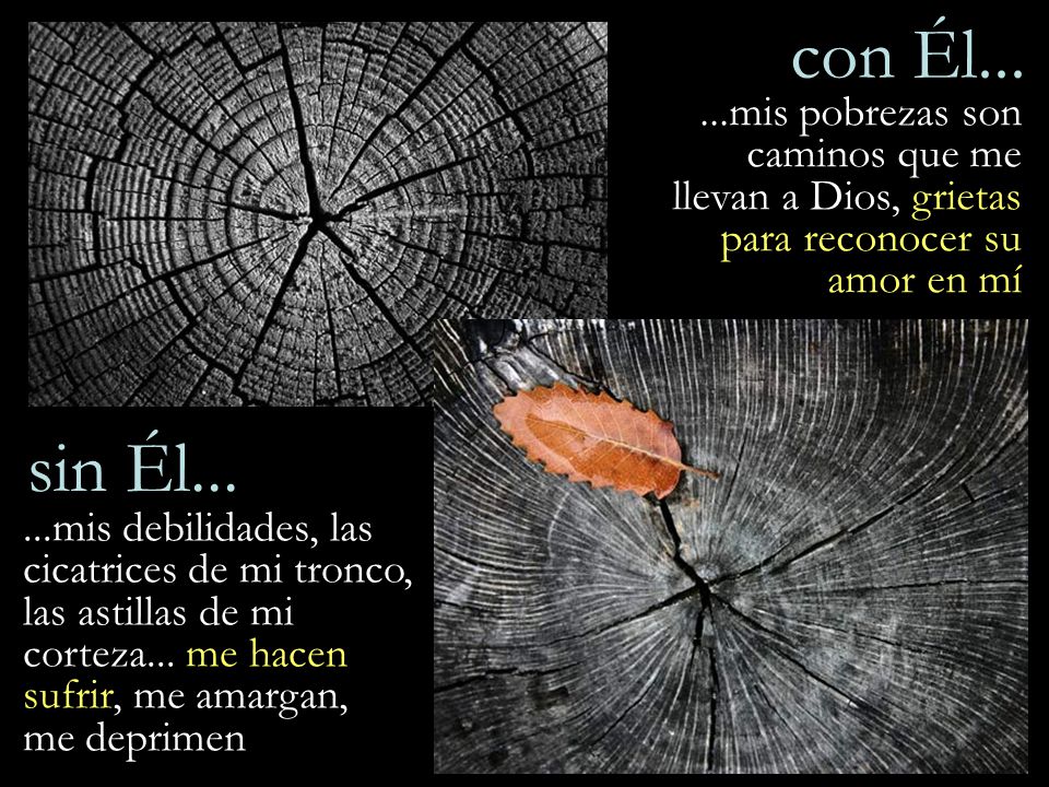 con Él mis pobrezas son caminos que me llevan a Dios, grietas para reconocer su amor en mí. sin Él...