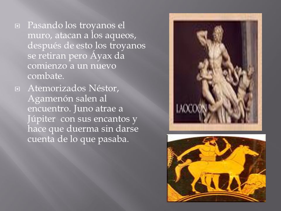 Pasando los troyanos el muro, atacan a los aqueos, después de esto los troyanos se retiran pero Áyax da comienzo a un nuevo combate.