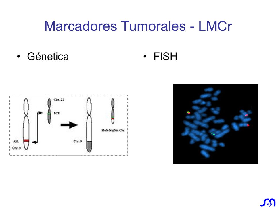 Marcadores Tumorales - LMCr