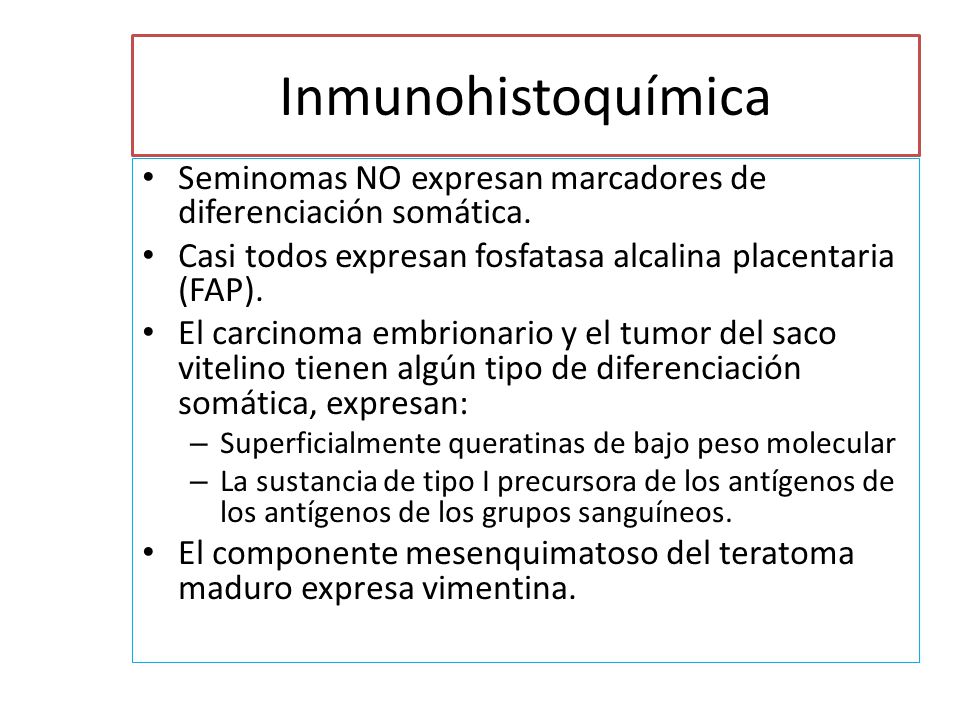 Inmunohistoquímica Seminomas NO expresan marcadores de diferenciación somática. Casi todos expresan fosfatasa alcalina placentaria (FAP).