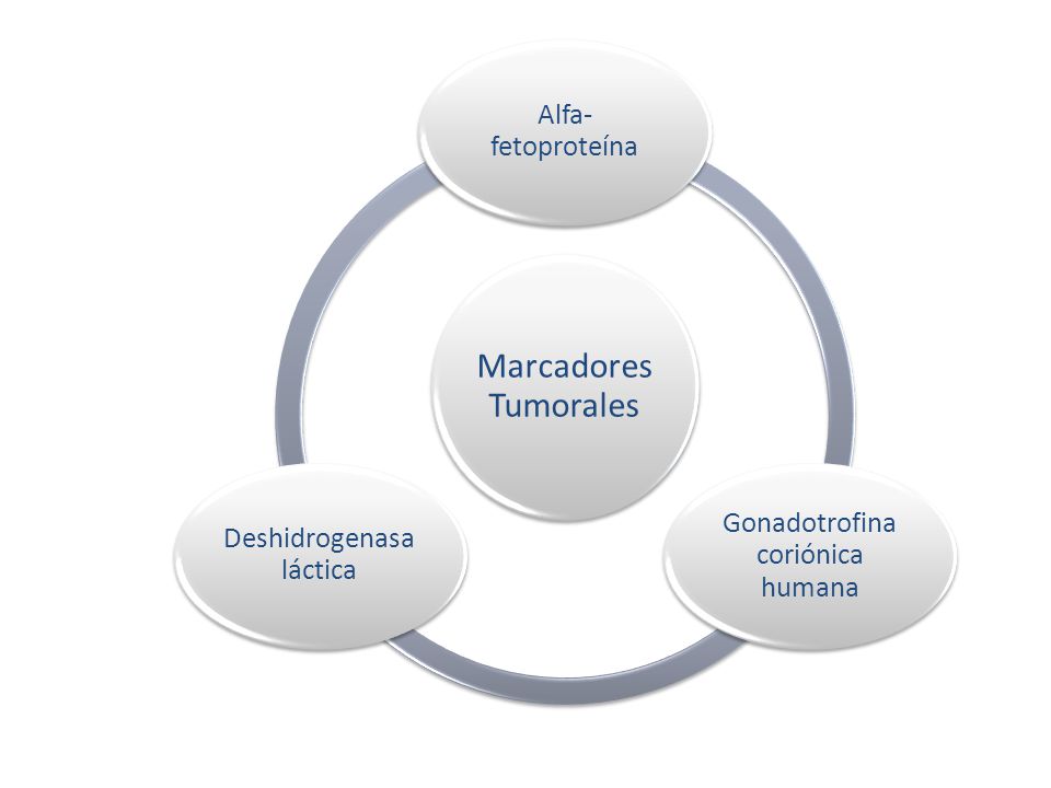 Marcadores Tumorales Alfa-fetoproteína Gonadotrofina coriónica humana