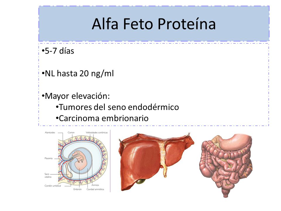 Alfa Feto Proteína 5-7 días NL hasta 20 ng/ml Mayor elevación: