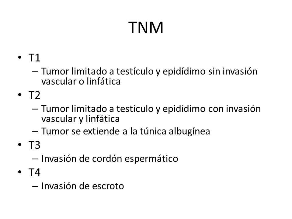 TNM T1. Tumor limitado a testículo y epidídimo sin invasión vascular o linfática. T2.
