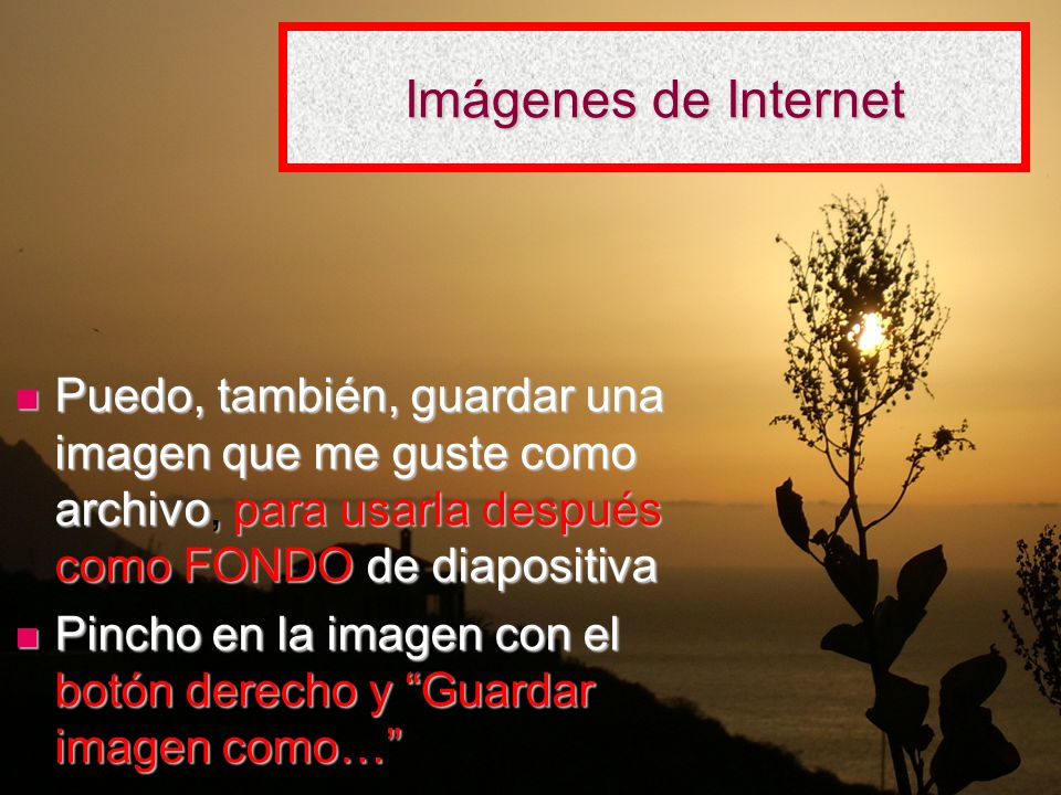 Imágenes de Internet Puedo, también, guardar una imagen que me guste como archivo, para usarla después como FONDO de diapositiva.