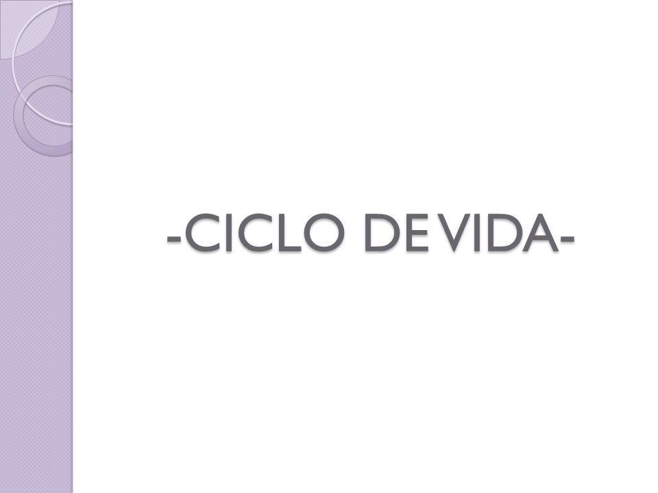 -CICLO DE VIDA-