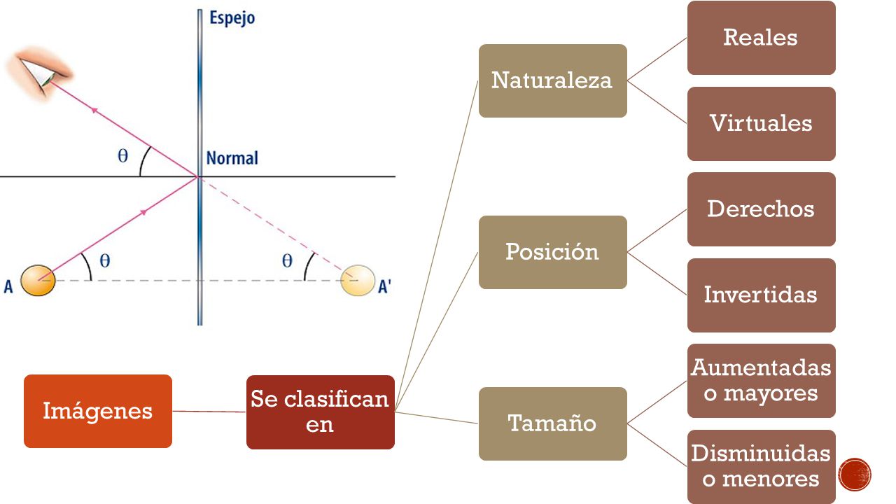 Imágenes Se clasifican en. Naturaleza. Reales. Virtuales. Posición. Derechos. Invertidas. Tamaño.